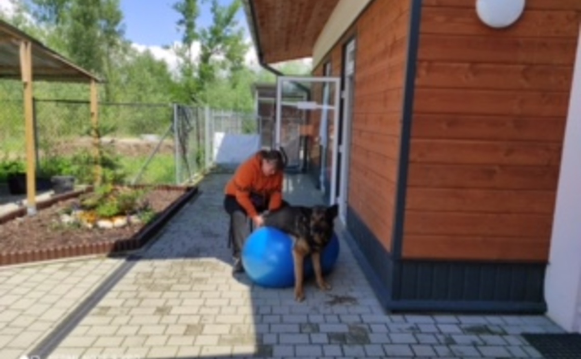 Wizyta w Schronisku dla bezdomnych zwierzą