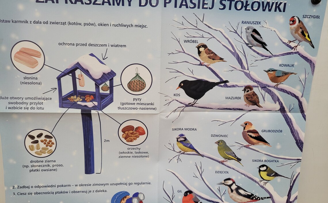 Krasnoludki stworzyły przyjazną stołówkę skrzydlatym przyjaciołom