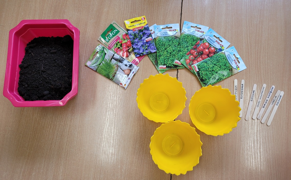 Krasnoludki zamieniły się w małych ogrodników