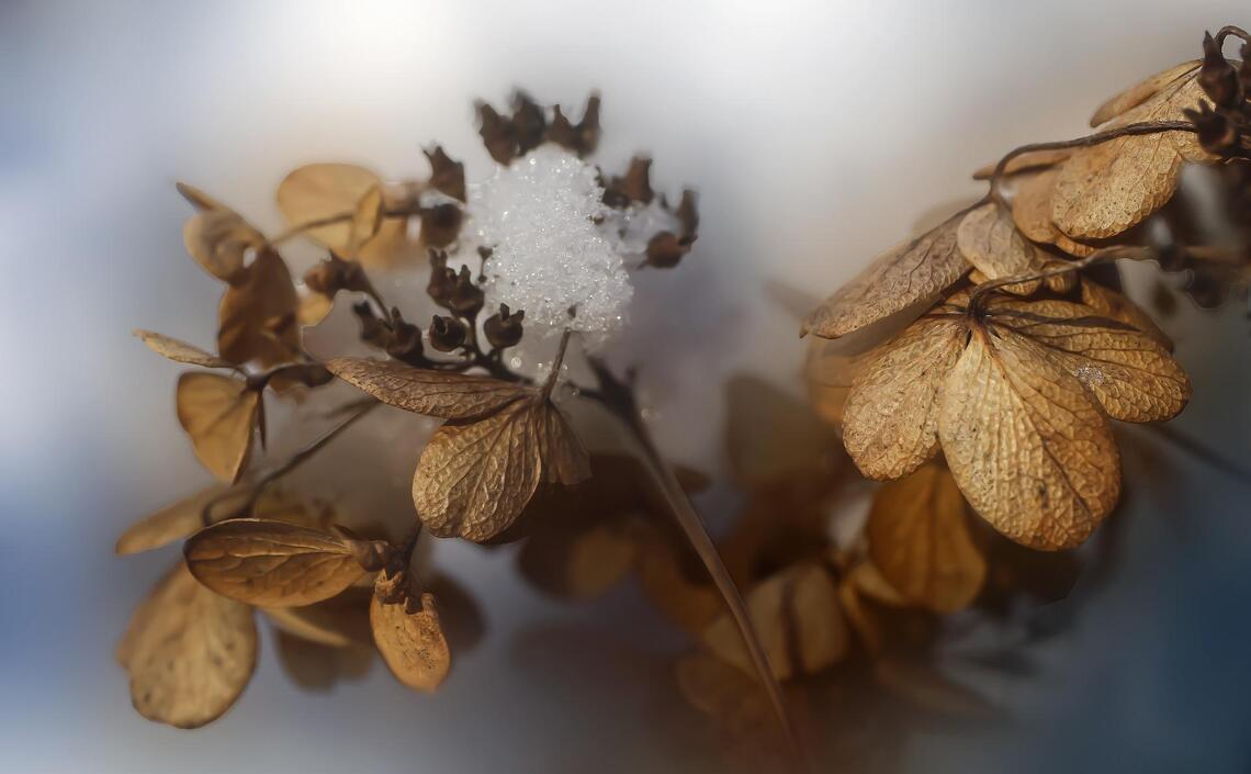 „Jesień i zima z przygodą!“.