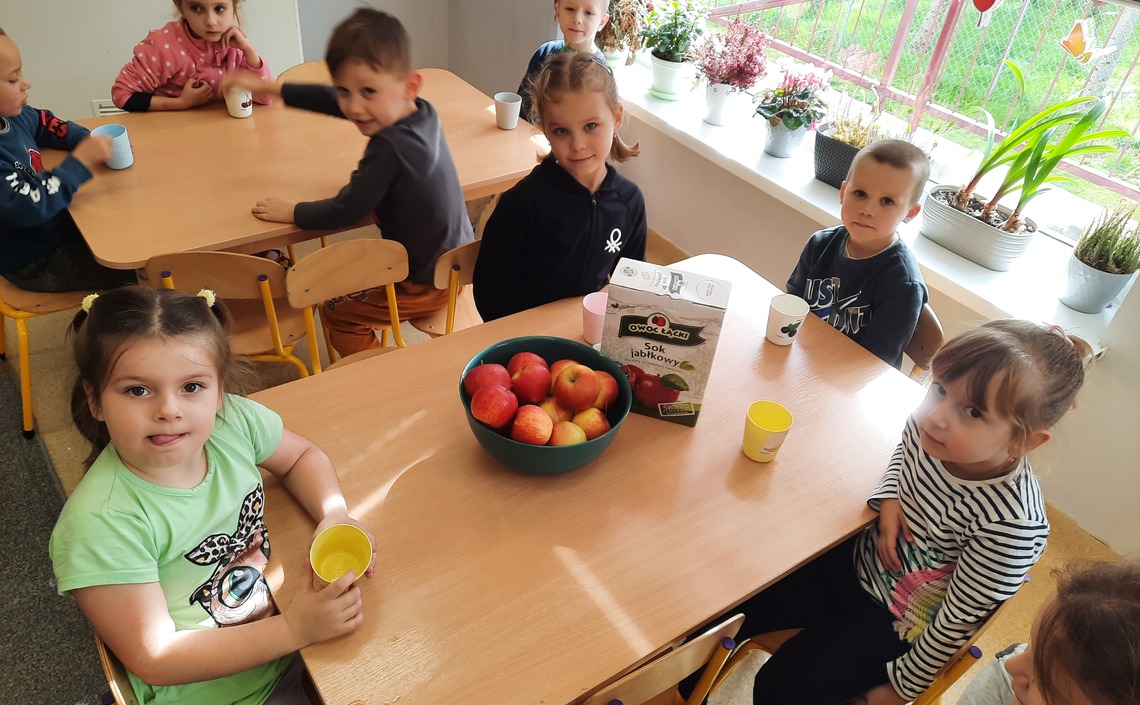 Sprzątanie Sądecczyzny