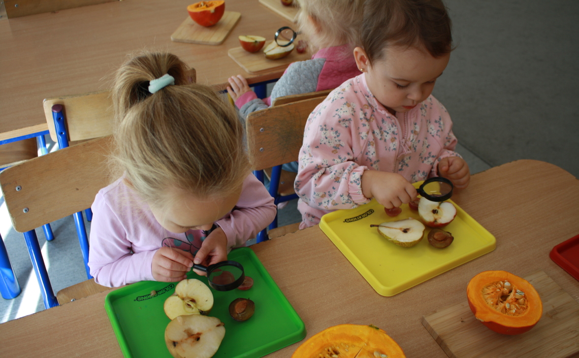 "Przyroda przez lupę" w grupie Żabki