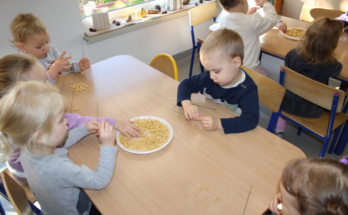 Żabki poznają różne rodzaje zwie­rząt i ptaków