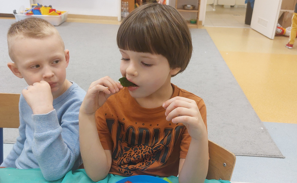 Smaczne i zdrowe tosty w wykonaniu Biedroneczek