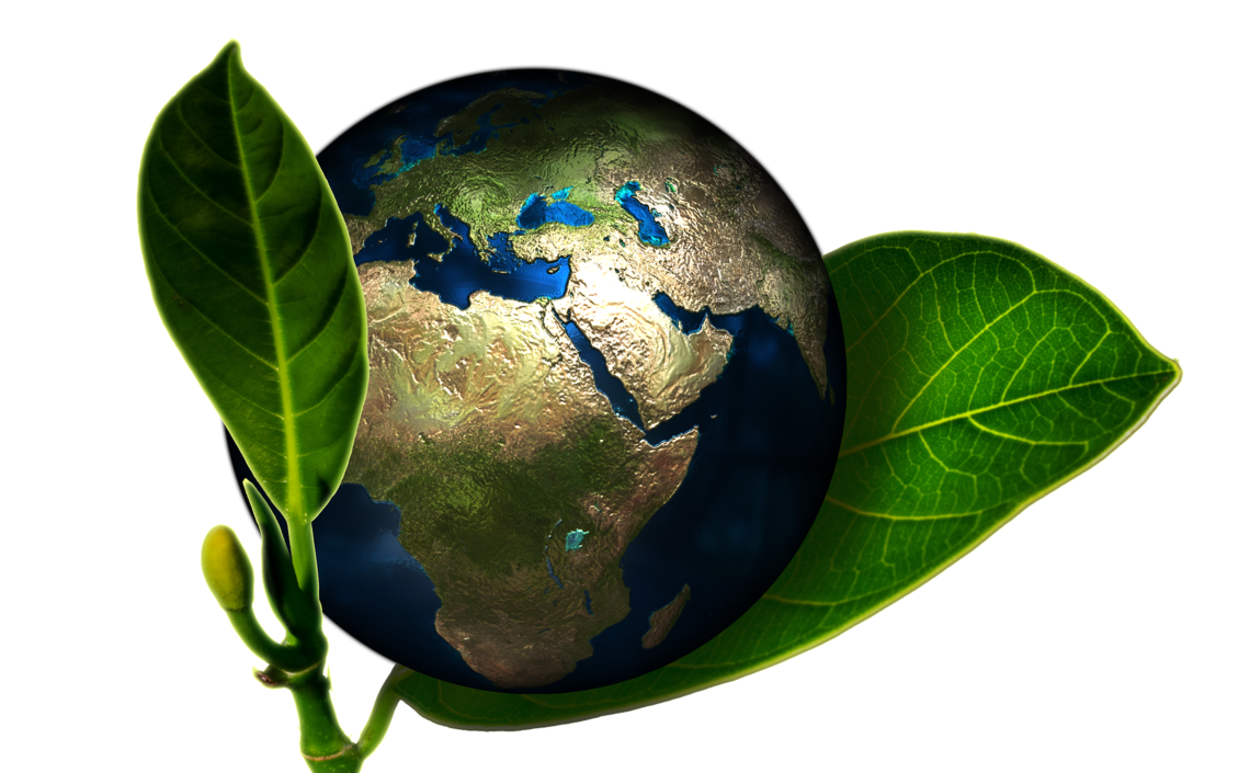 WARSZTATY ECO PT. „BĄDŹ ECO-FANEM”