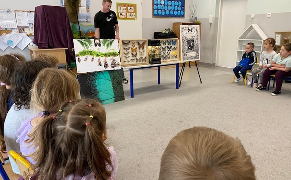 Kolorowy pokaz żywych motyli w Żabkach