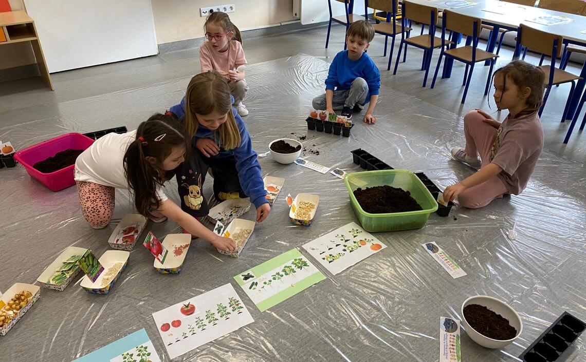 Dzień otwarty-Żabki 🐸